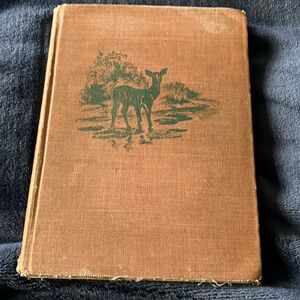 Vintage First Edition “Giant Mountain” by Frances‎ Fullerton Neilson